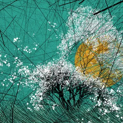 conversation with the wind