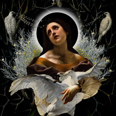 Purity