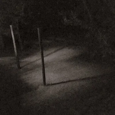 Two Dumb Posts in the Night
