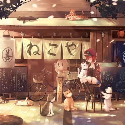 NEKOYA DANGO 