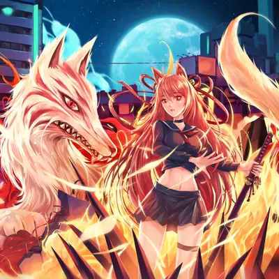 FIRE FOX / 火の狐