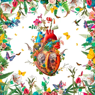 Heart Growth ll