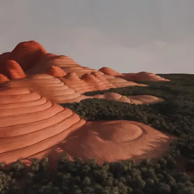 bungle bungles #1/10