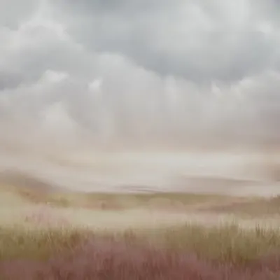 summer rain
