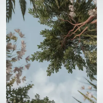 postcards | 005