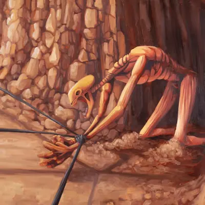 OUT THE CAVE