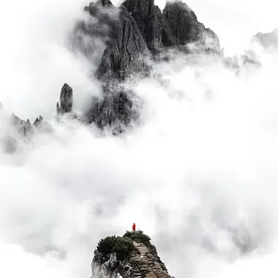 Evidence Of Sense by Wildalps #1/33
