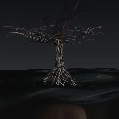 Fundus Animalium