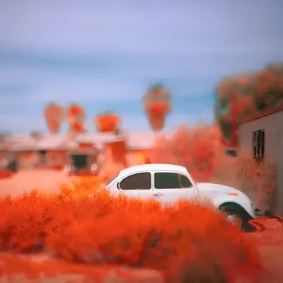 Little Lost VW