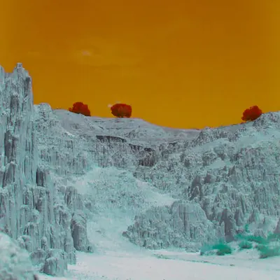 The Desert Paradise