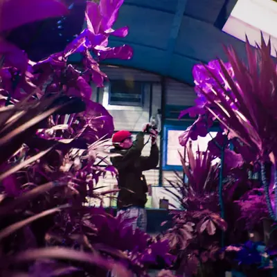 Colorful Greenhouse and The Photographer