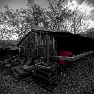 Hidden Red in the Shed 