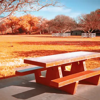 Quiet Day at The Park 