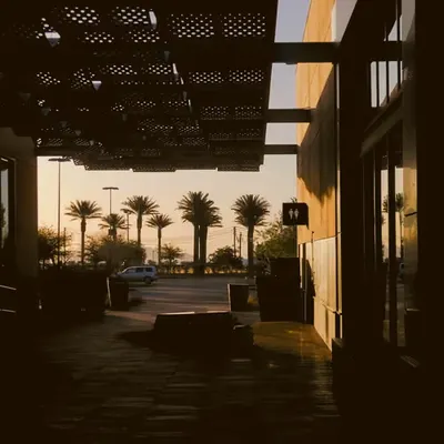 Early Morning Light 