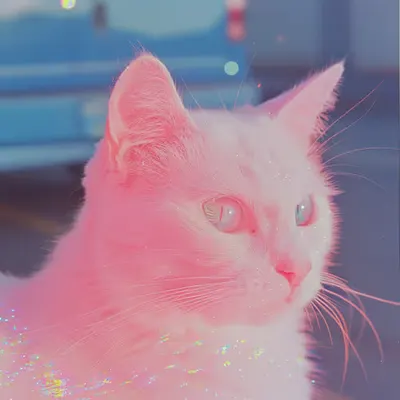 aura