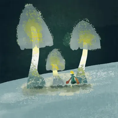 Through the mushroom forest.