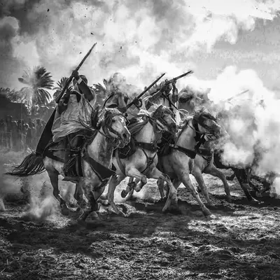 Power Horses