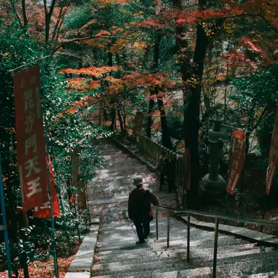 Alone in Kyoto #1