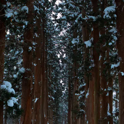 Alone in Nagano #1