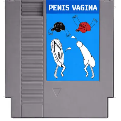 Penis // Vagina