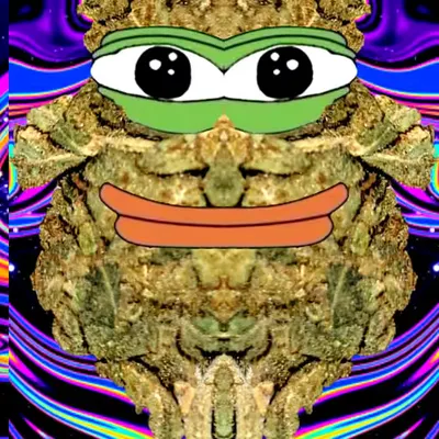 FAKEBUDDY