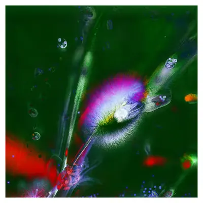 [GTRX-0512] Spring Glisten