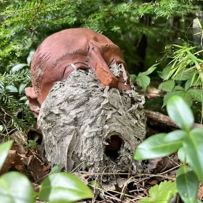 The Nest