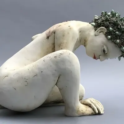 The Search