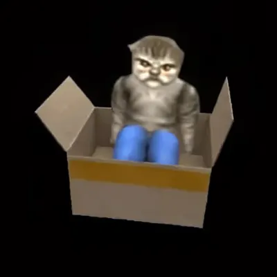 cat box