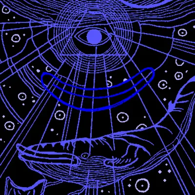 WIP (illuminati whales)
