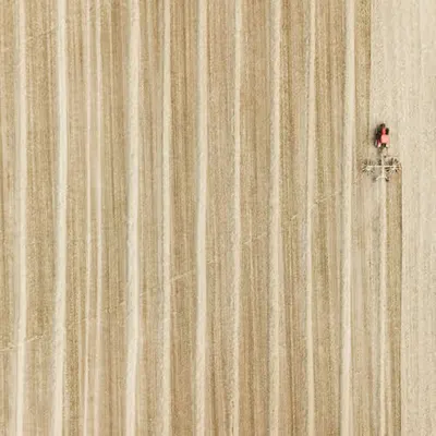 HARVEST