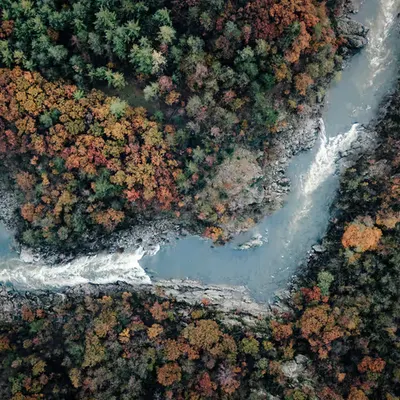 FALL