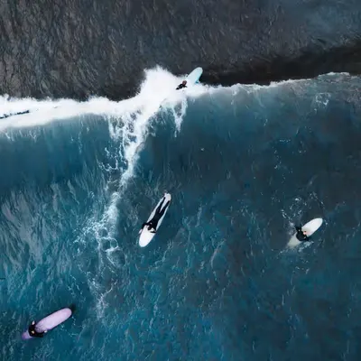 WAVE
