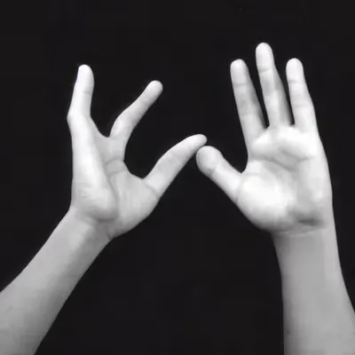 GaussianHands #15