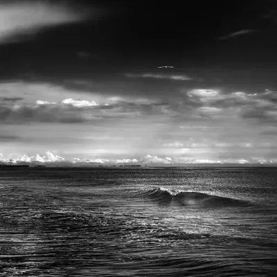 The Seagull and the Wave