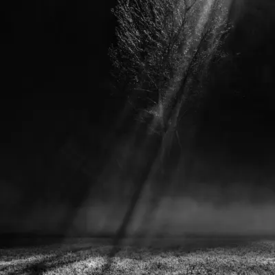RAY OF LIGHT