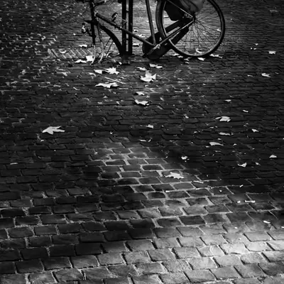 THE BIKE