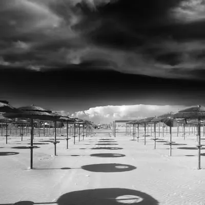 Shadows