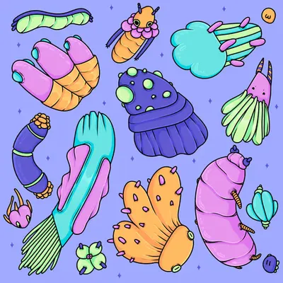 Rainbow Critters