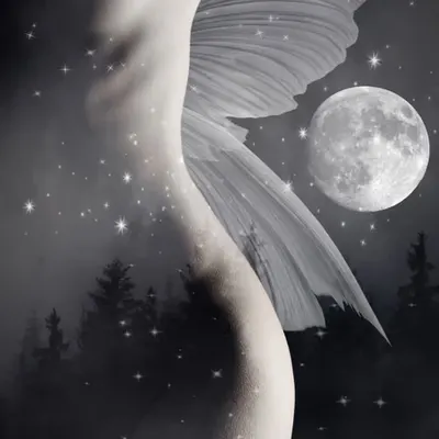 Moon Faerie