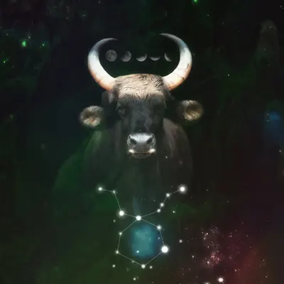 Taurus Magic