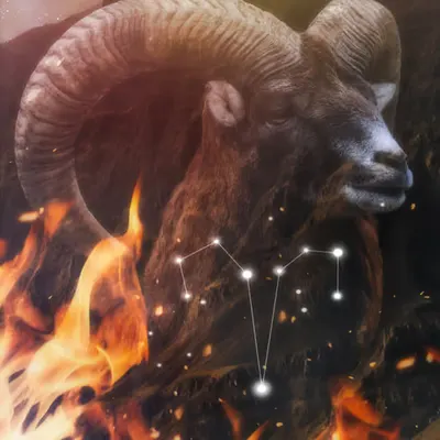 Aries Magic 