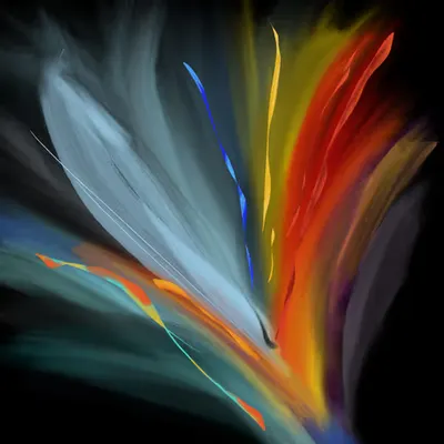 Spectacular Dream