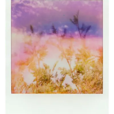 Endless Summer  |  10  | Manifestation