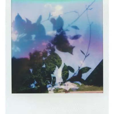 Endless Summer  |  11  | Manifestation