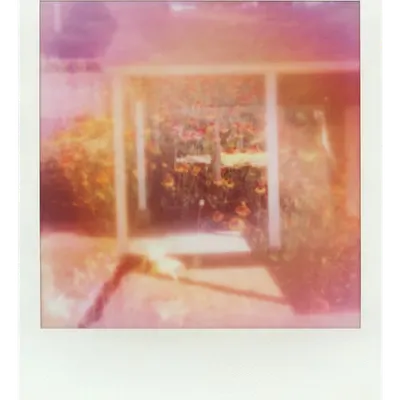 Endless Summer  |  14  | Manifestation