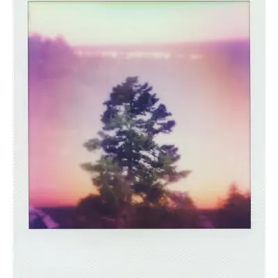 Endless Summer  |  16  | Manifestation