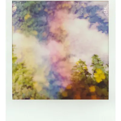 Endless Summer  |  17  | Manifestation