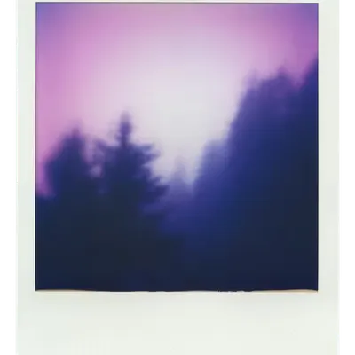 Endless Summer  |  18  | Manifestation