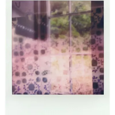 Endless Summer  |  21  | Manifestation